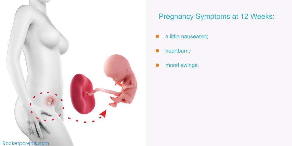 Pregnancy Symptoms Week 12 13 Pregnancy Symptoms