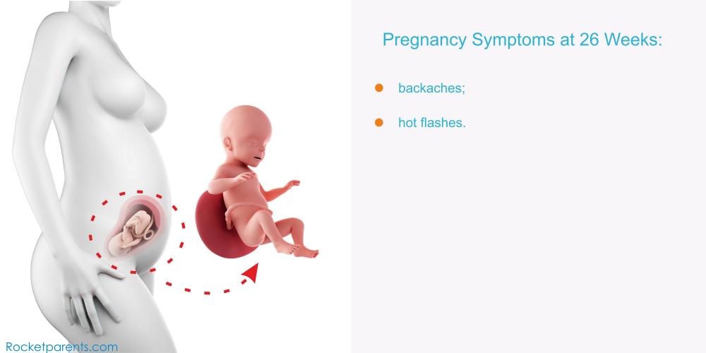 26 Weeks Pregnant: Symptoms, Fetus Ultrasound, Belly Photos
