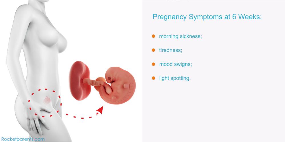 cramping-at-24-weeks-pregnant-the-pregnancy-nurse