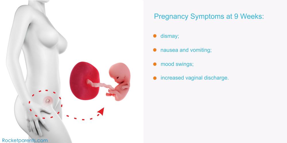 9 Weeks Pregnant: Symptoms, Fetus Ultrasound, Belly Photos